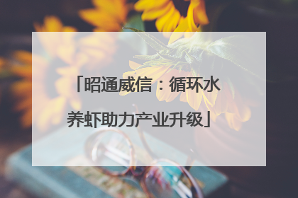 昭通威信：循环水养虾助力产业升级