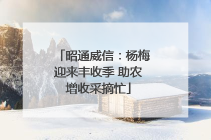 昭通威信：杨梅迎来丰收季 助农增收采摘忙