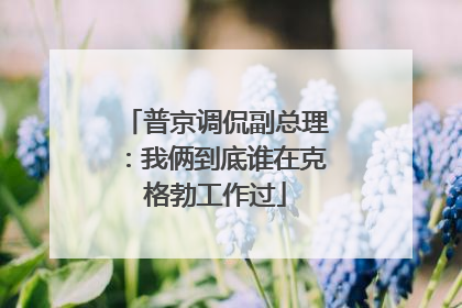 普京调侃副总理：我俩到底谁在克格勃工作过