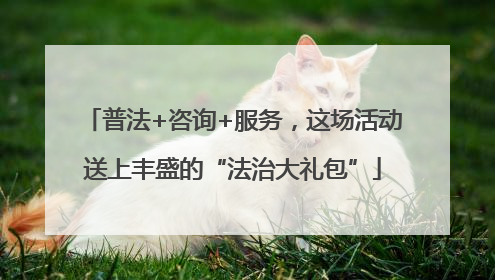 普法+咨询+服务，这场活动送上丰盛的“法治大礼包”