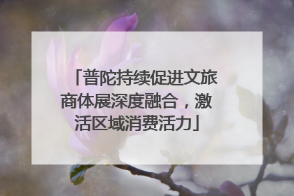 普陀持续促进文旅商体展深度融合，激活区域消费活力