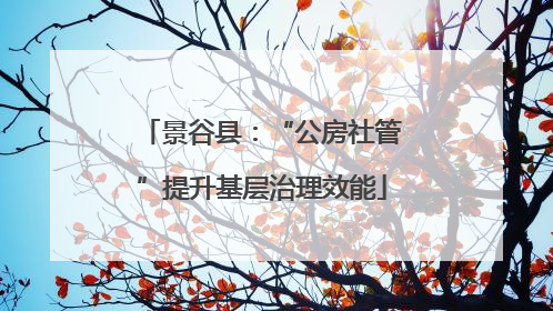 景谷县：“公房社管”提升基层治理效能