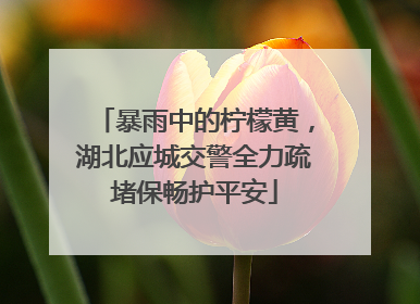暴雨中的柠檬黄，湖北应城交警全力疏堵保畅护平安