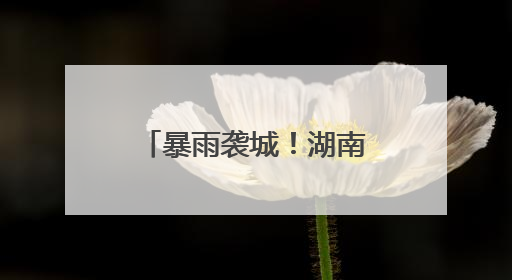 暴雨袭城！湖南慈利工程建设者昼夜奋战抗洪一线