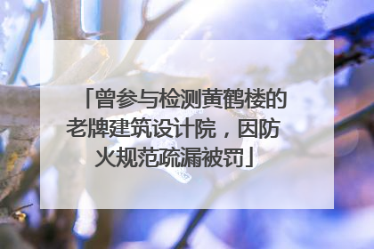 曾参与检测黄鹤楼的老牌建筑设计院，因防火规范疏漏被罚
