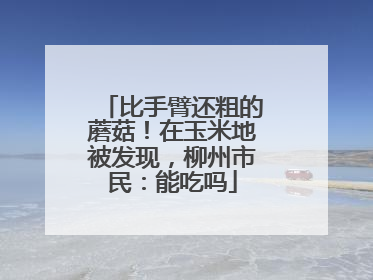 比手臂还粗的蘑菇！在玉米地被发现，柳州市民：能吃吗
