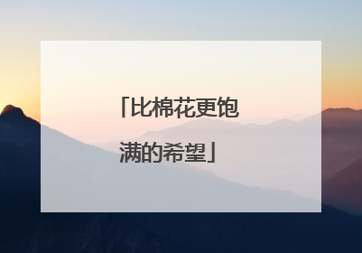 比棉花更饱满的希望