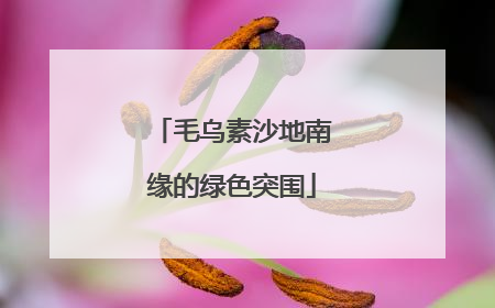 毛乌素沙地南缘的绿色突围