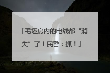 毛坯房内的电线都“消失”了！民警：抓！