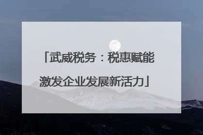 武威税务：税惠赋能 激发企业发展新活力