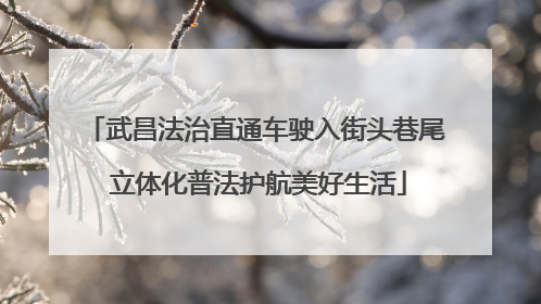 武昌法治直通车驶入街头巷尾 立体化普法护航美好生活