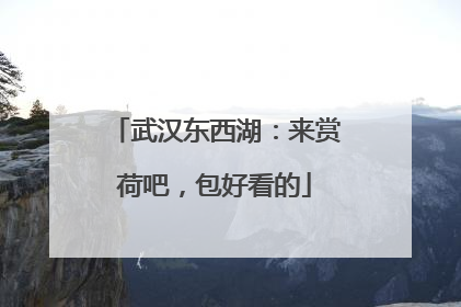 武汉东西湖：来赏荷吧，包好看的