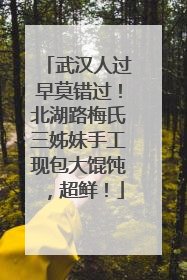 武汉人过早莫错过！北湖路梅氏三姊妹手工现包大馄饨，超鲜！