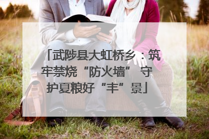 武陟县大虹桥乡：筑牢禁烧“防火墙” 守护夏粮好“丰”景