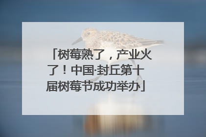 树莓熟了，产业火了！中国·封丘第十届树莓节成功举办
