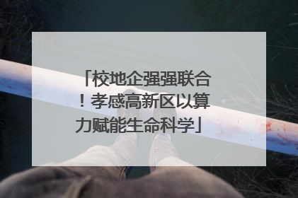 校地企强强联合！孝感高新区以算力赋能生命科学
