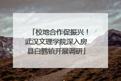 校地合作促振兴！武汉文理学院深入房县白鹤镇开展调研
