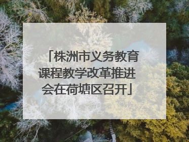株洲市义务教育课程教学改革推进会在荷塘区召开