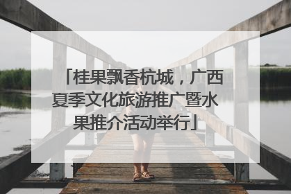 桂果飘香杭城，广西夏季文化旅游推广暨水果推介活动举行