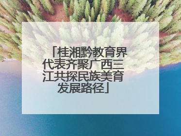 桂湘黔教育界代表齐聚广西三江共探民族美育发展路径