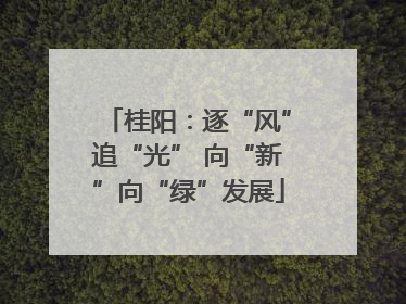 桂阳：逐“风”追“光” 向“新”向“绿”发展