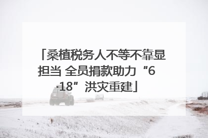 桑植税务人不等不靠显担当 全员捐款助力“6·18”洪灾重建