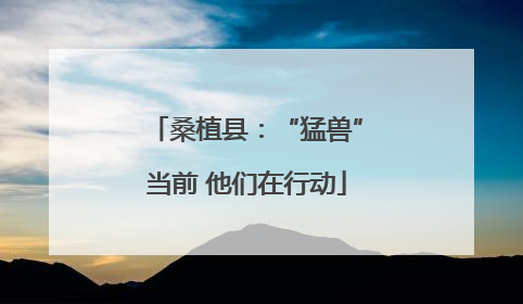 桑植县：“猛兽”当前 他们在行动