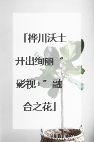 桦川沃土开出绚丽“影视+”融合之花