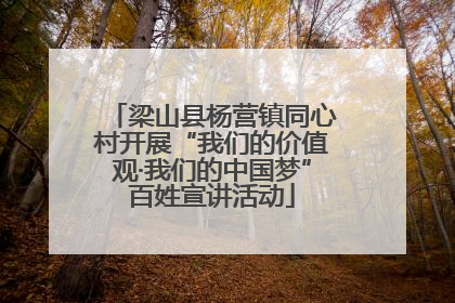 梁山县杨营镇同心村开展“我们的价值观·我们的中国梦”百姓宣讲活动
