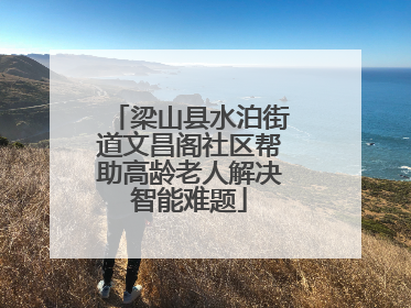 梁山县水泊街道文昌阁社区帮助高龄老人解决智能难题