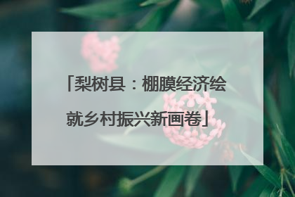 梨树县：棚膜经济绘就乡村振兴新画卷