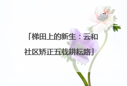 梯田上的新生：云和社区矫正五载耕耘路