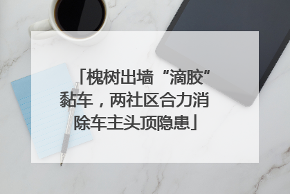 槐树出墙“滴胶”黏车，两社区合力消除车主头顶隐患