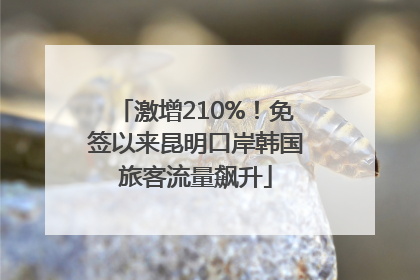 激增210%！免签以来昆明口岸韩国旅客流量飙升