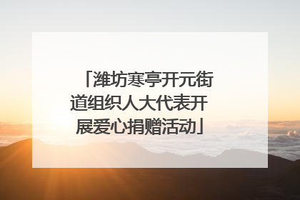 潍坊寒亭开元街道组织人大代表开展爱心捐赠活动