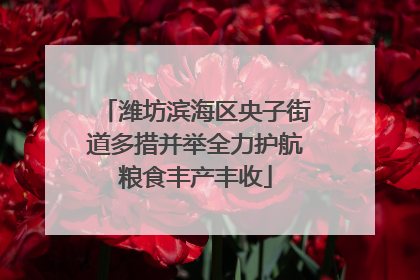 潍坊滨海区央子街道多措并举全力护航粮食丰产丰收