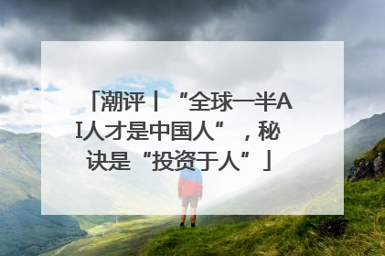 潮评丨“全球一半AI人才是中国人”，秘诀是“投资于人”
