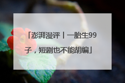 澎湃漫评丨一胎生99子，短剧也不能胡编