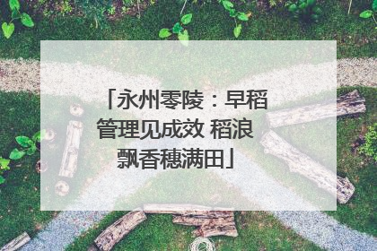 永州零陵：早稻管理见成效 稻浪飘香穗满田