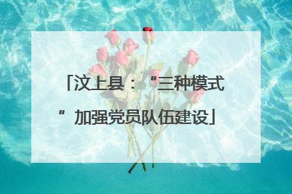 汶上县：“三种模式”加强党员队伍建设