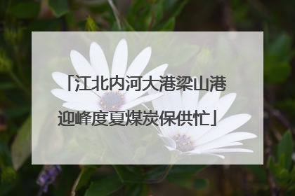 江北内河大港梁山港迎峰度夏煤炭保供忙