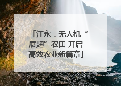 江永：无人机“展翅”农田 开启高效农业新篇章