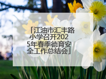 江油市汇丰路小学召开2025年春季德育安全工作总结会