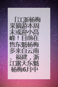江浙杨梅采摘游本周末或迎小高峰！目前在售东魁杨梅多来自云南、福建，浙江露天东魁杨梅6月中旬大量上市