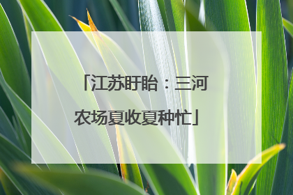 江苏盱眙：三河农场夏收夏种忙