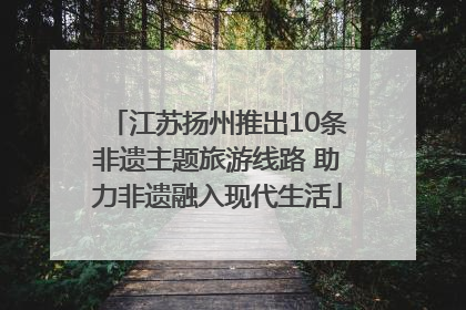 江苏扬州推出10条非遗主题旅游线路 助力非遗融入现代生活