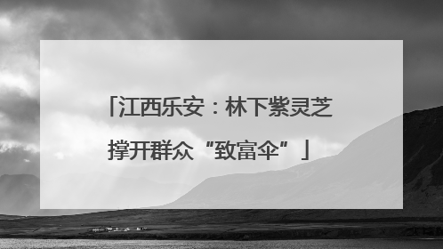 江西乐安：林下紫灵芝撑开群众“致富伞”