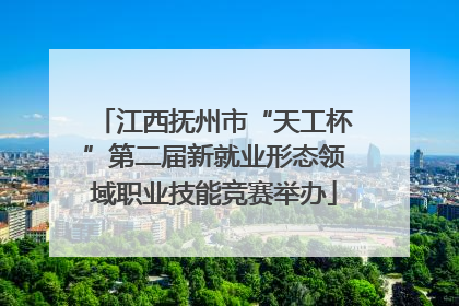 江西抚州市“天工杯”第二届新就业形态领域职业技能竞赛举办