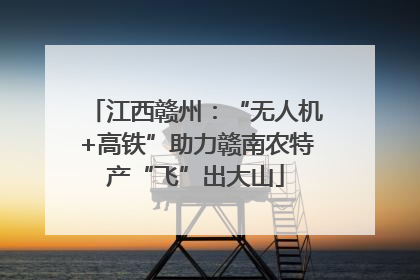 江西赣州：“无人机+高铁”助力赣南农特产“飞”出大山