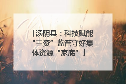 汤阴县：科技赋能“三资”监管守好集体资源“家底”